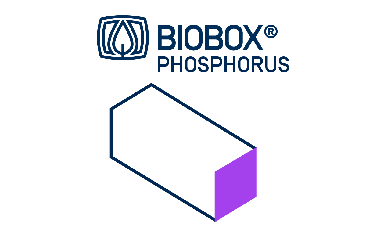 Phosphorous Box Compact plant for phosphorus removal from water | BIOBOX